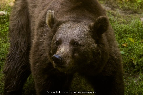2017 09 22 Wildpark 06