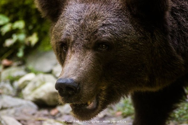 2017 09 22 Wildpark 07