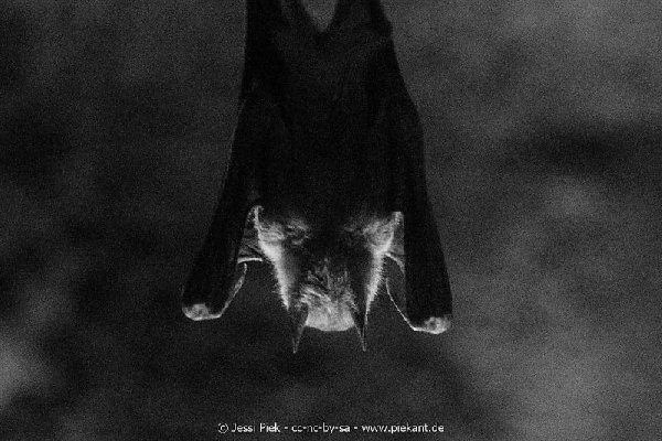 2017 09 22 Wildpark 40