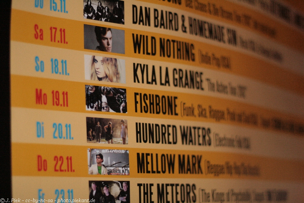 20121119 Fishbone det low 01