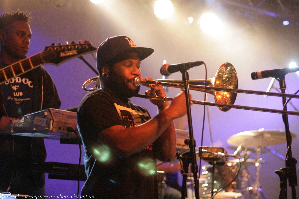 20121119 Fishbone low 03