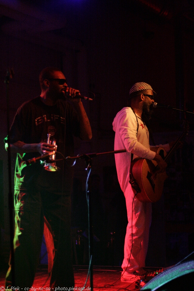 20121119 Fishbone low 08