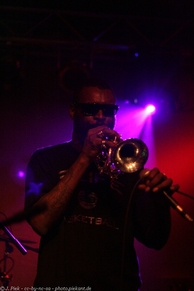 20121119 Fishbone low 31