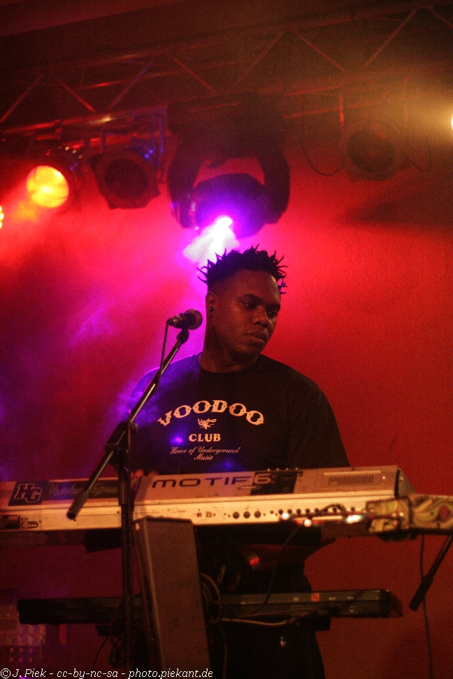 20121119 Fishbone low 33