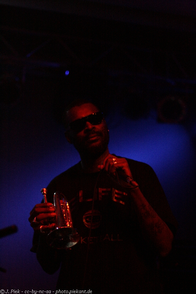 20121119 Fishbone low 35