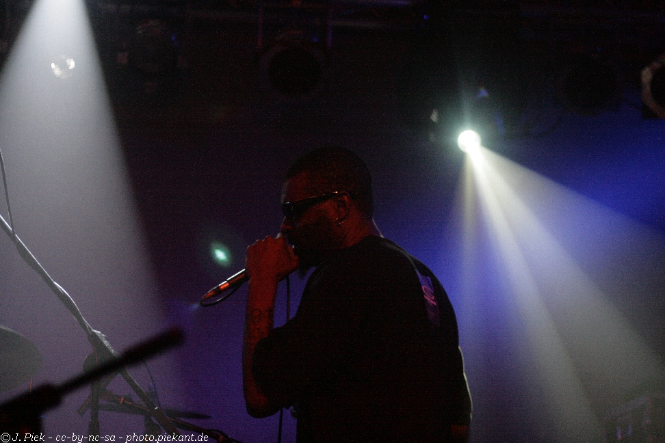 20121119 Fishbone low 37