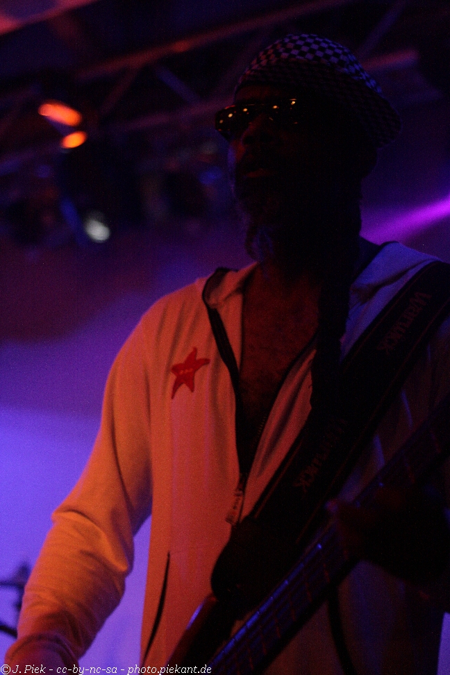 20121119 Fishbone low 48