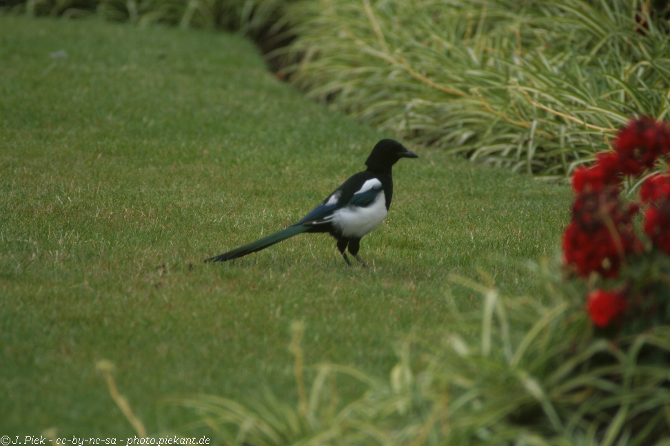 20120827 London Day2 low 26