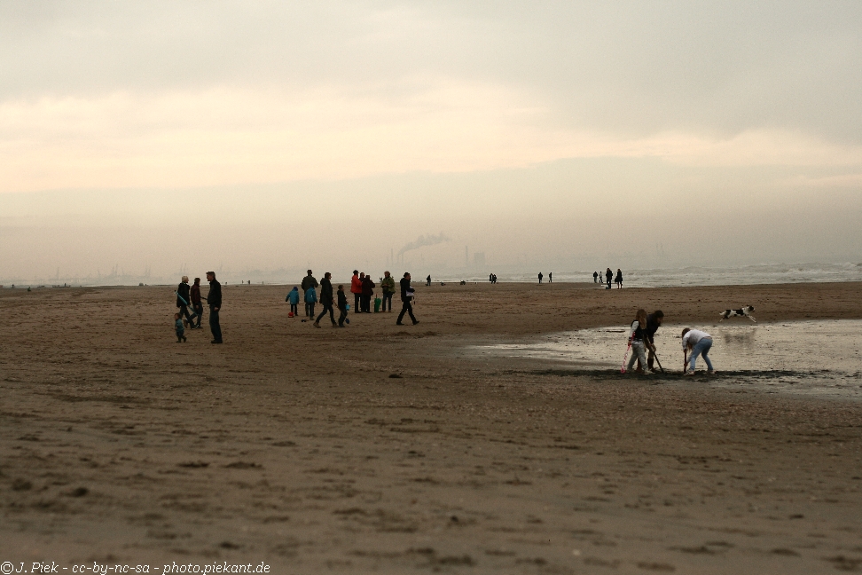 20120429 TAM low 02