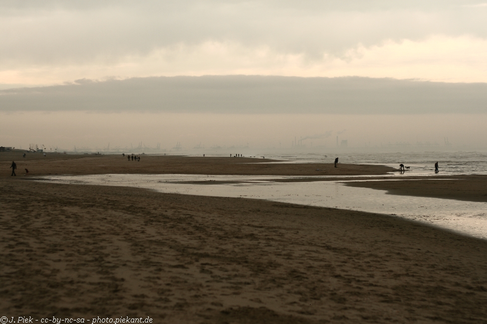 20120429 TAM low 05