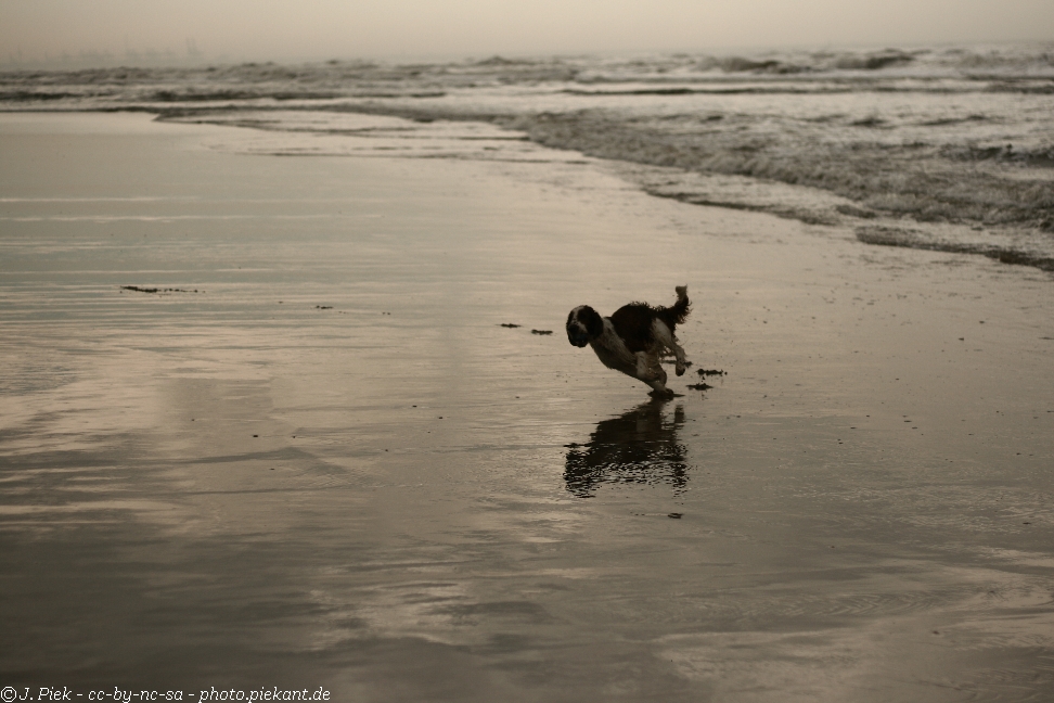 20120429 TAM low 11