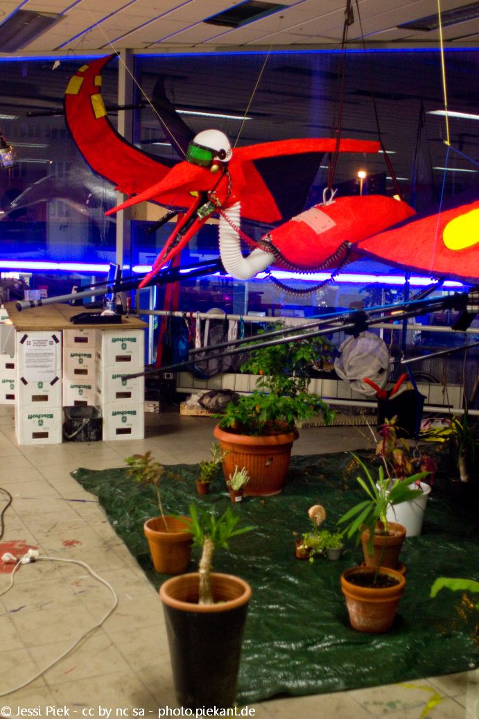 2013 10 18 PengFestival low 12