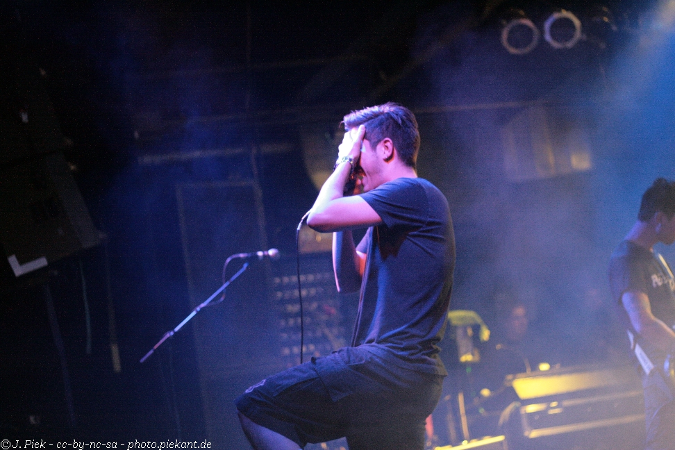 2013 01 12 ToysgetlostMunich low 66