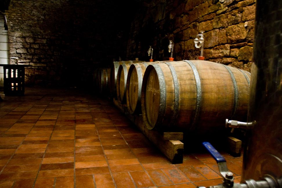 20130426Weingut low24