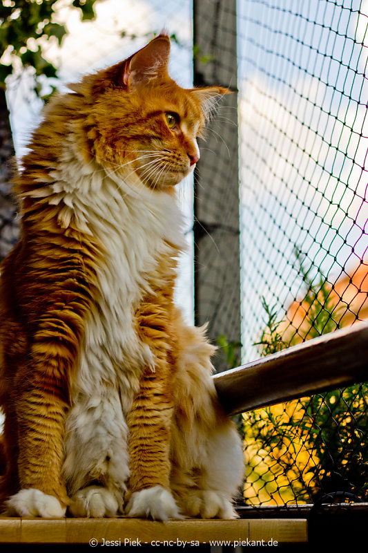 2014080706p